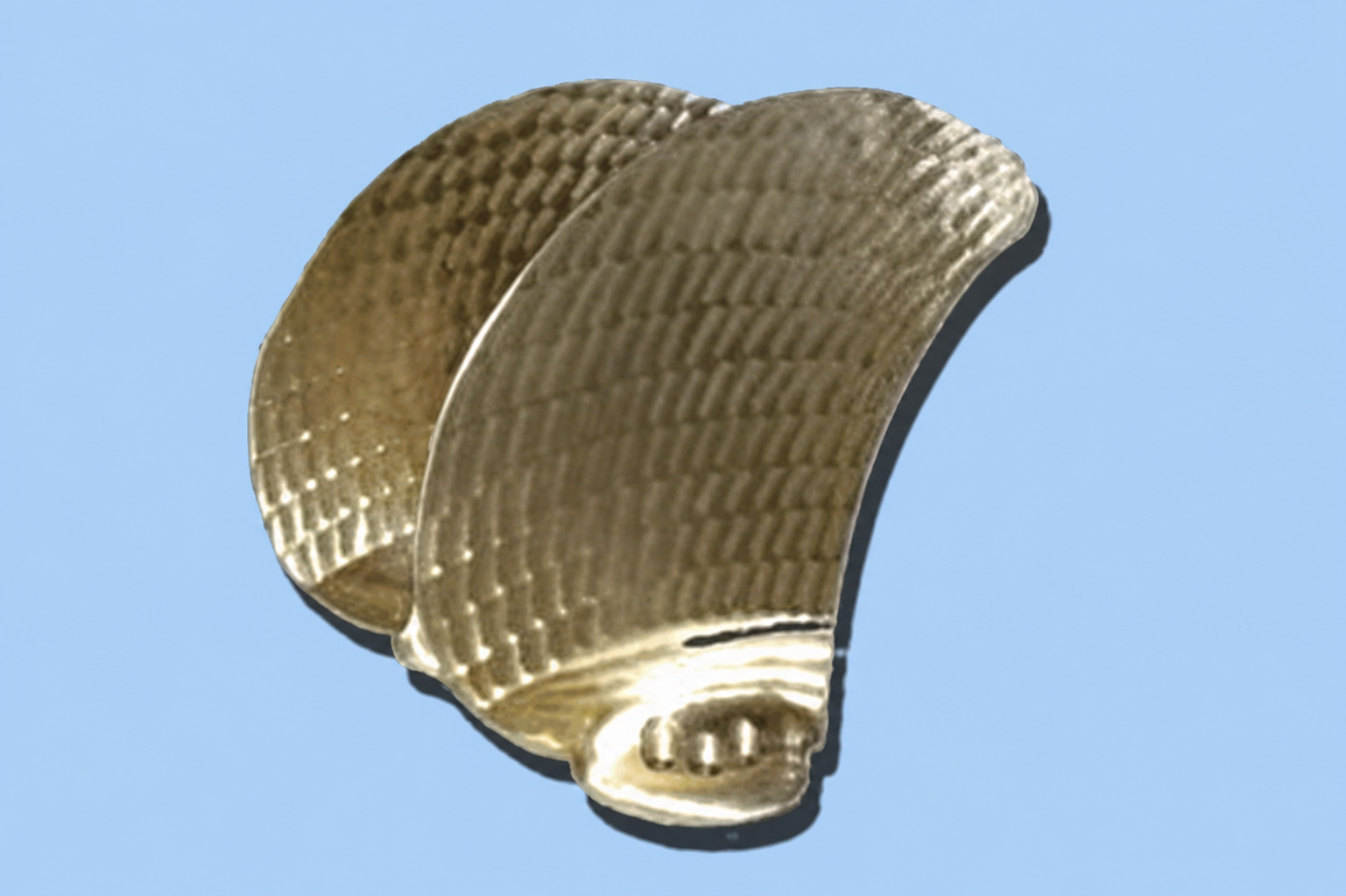 Controllable Pitch Propeller Blade