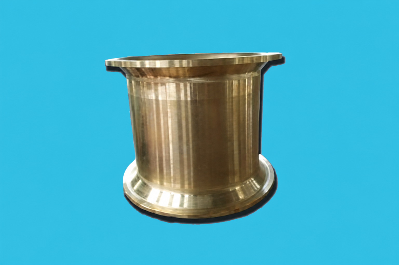 Bridge Bushing