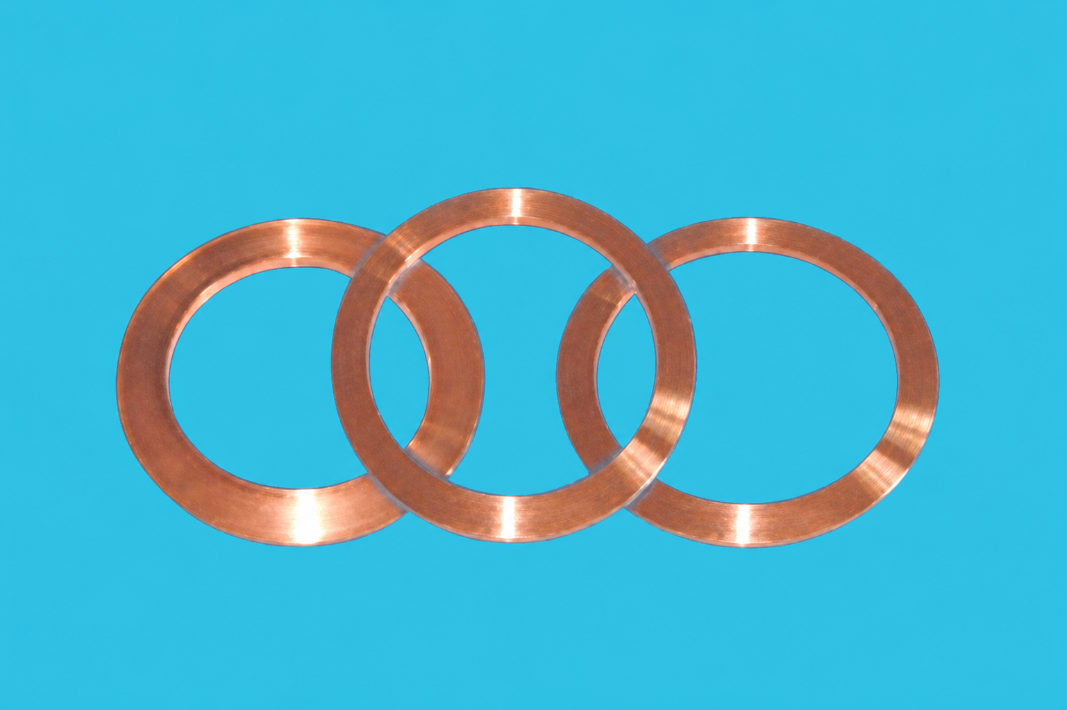 Wind Power & Explosion-Proof Motor End Ring
